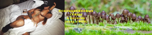 MDMA Киреевск