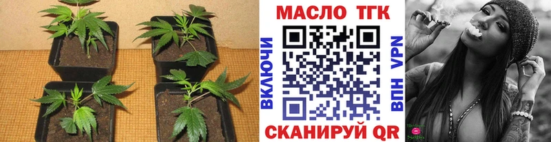 Купить  Велиж  ТГК концентрат 