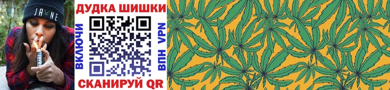 Конопля индика  Купить где  Велиж 